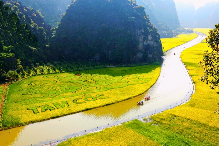 Admiring Tam Coc’s beauty from a peaceful boat ride