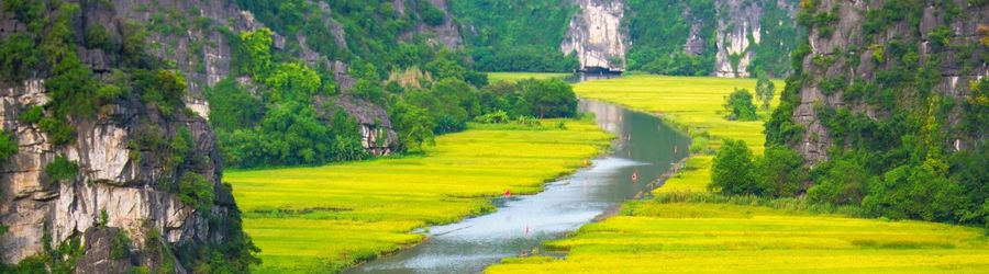 Tam Coc boat tour: a peaceful journey between water, limestone mountains, and rice fields