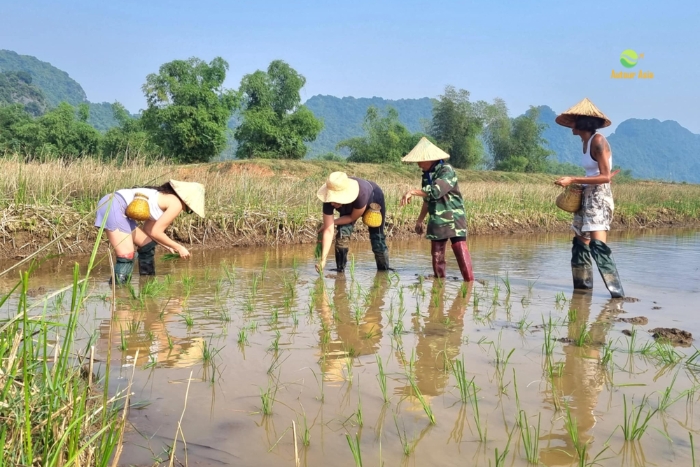 Immersion in rural life – Following the rhythm of seasons and smiles in Tam Coc