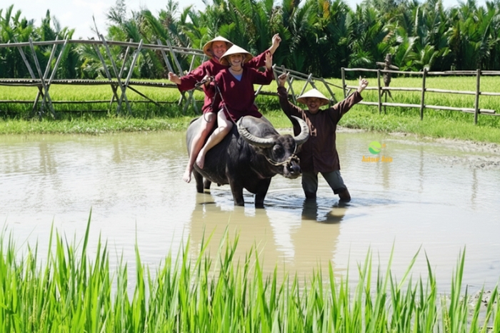 An authentic experience: Buffalo ride through the rice fields of Tam Coc