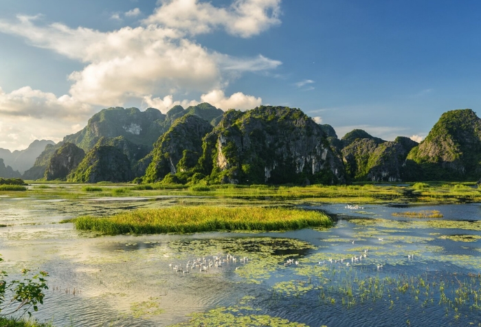 What to do in Ninh Binh ? Van Long boat