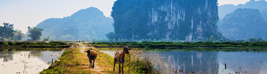 Entertainment and shopping in Ninh Binh