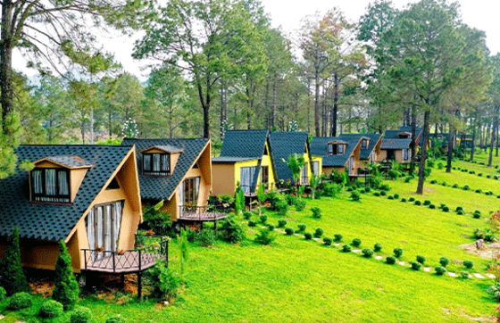 The 09 Best Homestays In Ninh Binh.