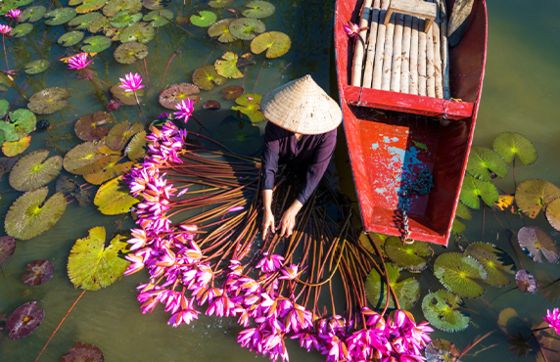 Top 10 Things To Do In Ninh Binh, Vietnam