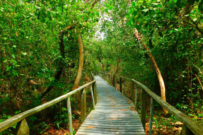 Cuc Phuong national park, top attraction in Ninh Binh