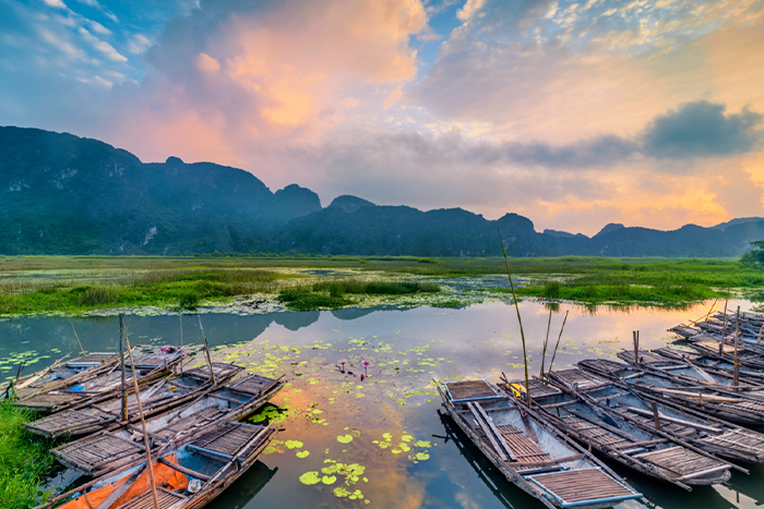 Visit Ninh Binh and Van Long lagoon