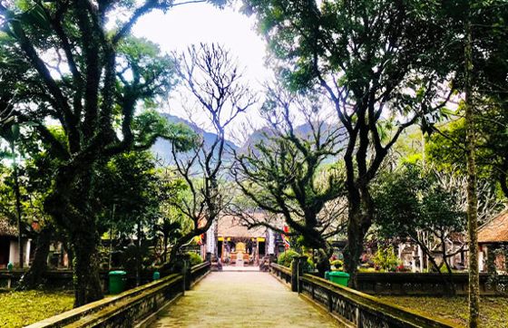 What To Do In Ninh Binh Vietnam ? Visit Dinh Le Temple Now - Discover Ninh Binh Vietnam