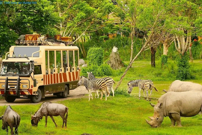 Discover Vinpearl Safari: one of the best things to do in Phu Quoc