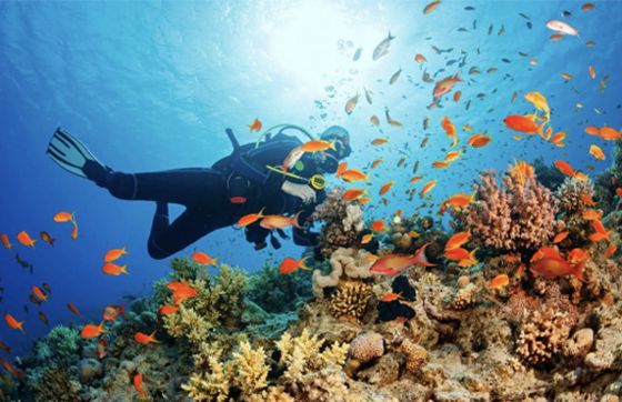 What To Do In Phu Quoc In 3 Days? Itinerary Review By Mr. Alexis