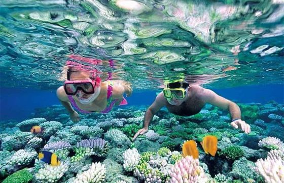 What To Do In Phu Quoc In 5 Days: Itinerary Review By Mr. Mizrak