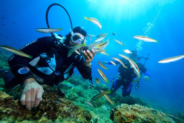 7 days in Phu Quoc : learn scuba diving and earn a certification in Phu Quoc