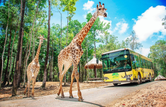 Travel To Vietnam In November - What To Do In Phu Quoc In November?