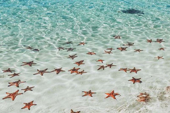 Bai Sao (Star Beach) is one of the places to visit in Phu Quoc in November