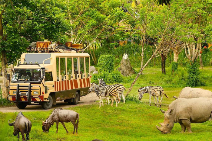 If you are looking for things to do in Phu Quoc with kids, you can visit Vinpearl Safari to see wild animals