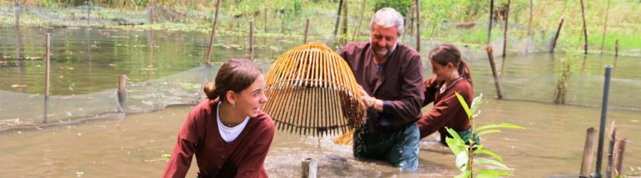 Why Choose A Farm Stay In Vietnam ?