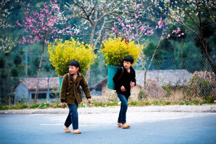 Why choose a Vietnam 12-day tour?