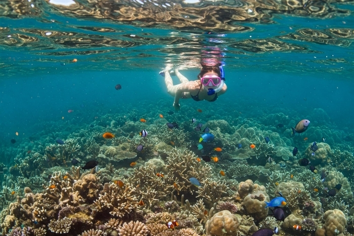 Ha Long Bay, one of the best places to snorkel in Northern Vietnam