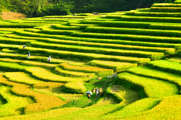 When is the best time visit to Pu Luong? 