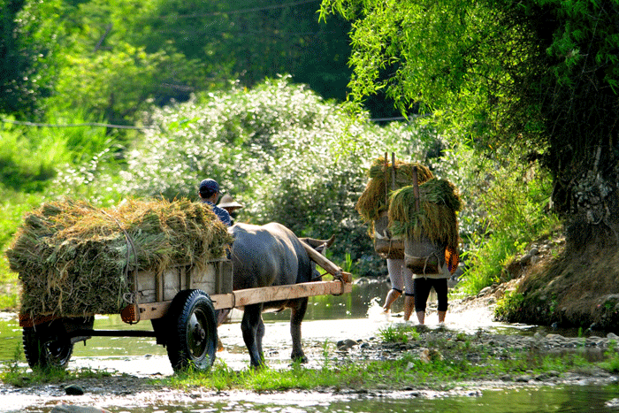 Son Ba Muoi village in Pu Luong 