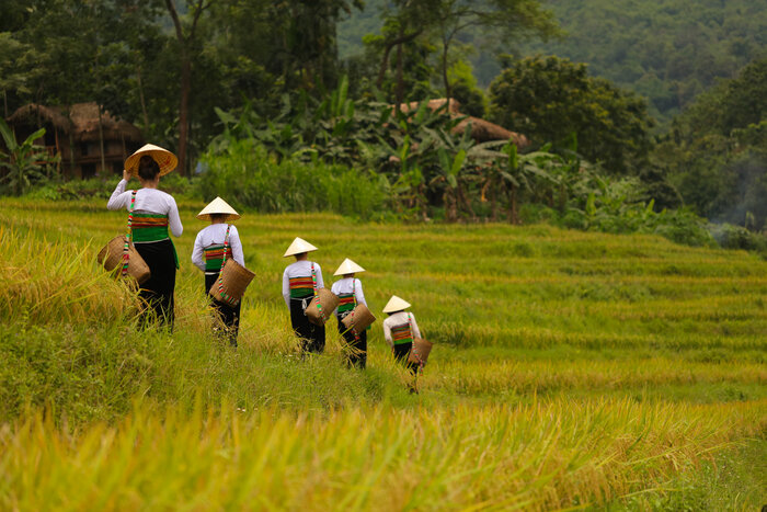 Thai people in Pu Luong Vietnam