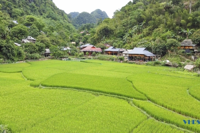 Kho Muong Village: Pu Luong's Hidden Gem