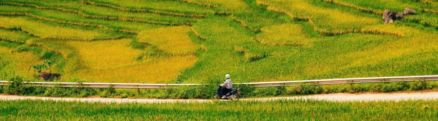 The best time to visit Pu Luong