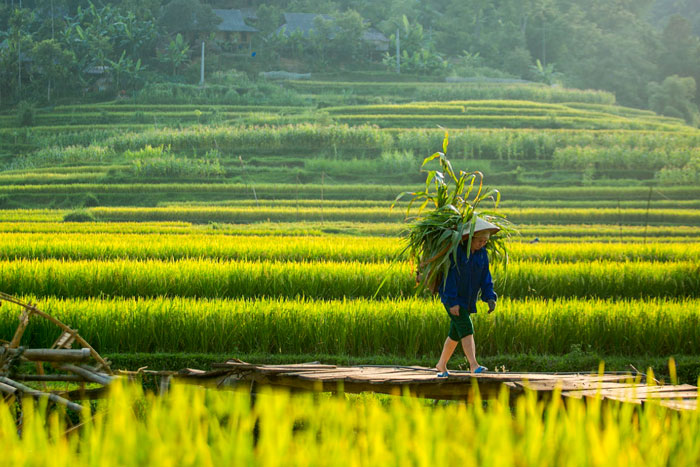 Visit ethnic villages in Puluong
