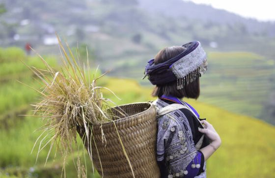 Discover The Black Thai Communities In Pu Luong Nature Reserve, Vietnam
