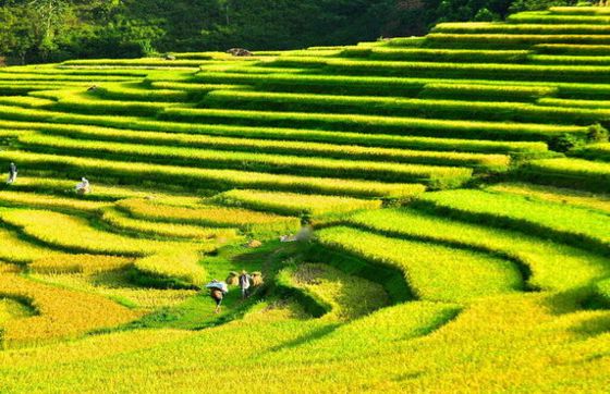 Things To Do In Pu Luong For 2 Days: The Prefects Itinerary