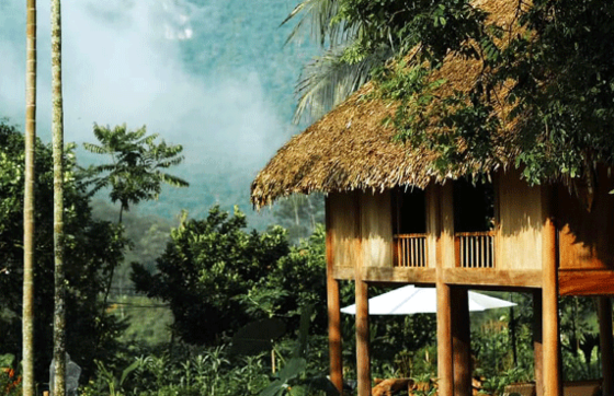 Top 12 Affordable Homestays With Beautiful Views In Pu Luong