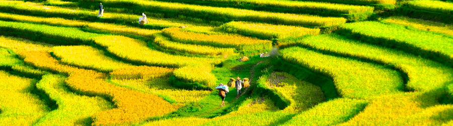 Enjoy your interesting vacation with top best homestay in Pu Luong