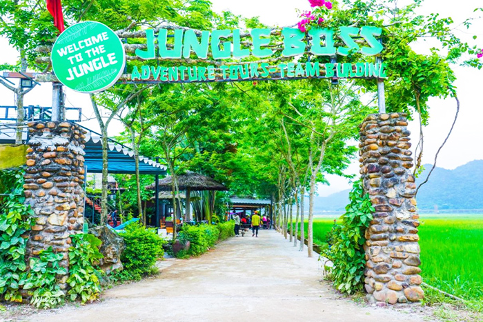 Welcome to Jungle Boss Travel Lodge