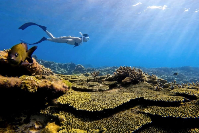 Best snorkeling spots in Central Vietnam