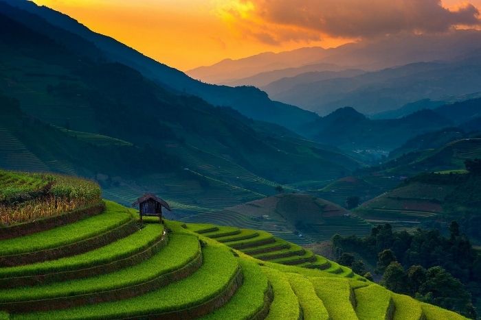 Mu Cang Chai&rsquo;s rice fields reach their peak beauty in June 
