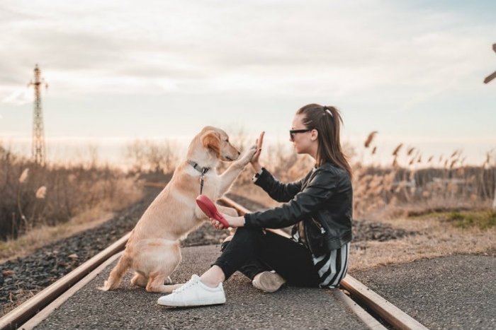 Traveling with a dog in Vietnam