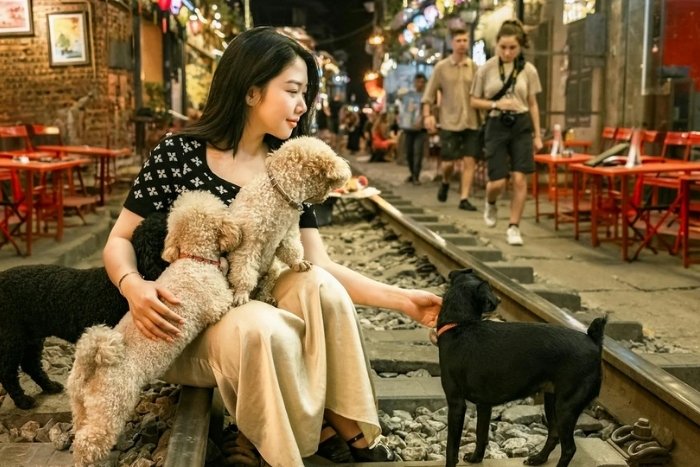 Applying regulations for traveling to Vietnam with pet