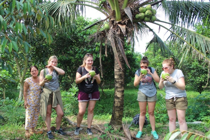 Explore the fruit paradise and enjoy fresh coconut water in South Vietnam