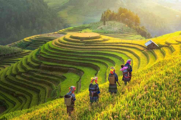 When is the best time to visit Vietnam? 