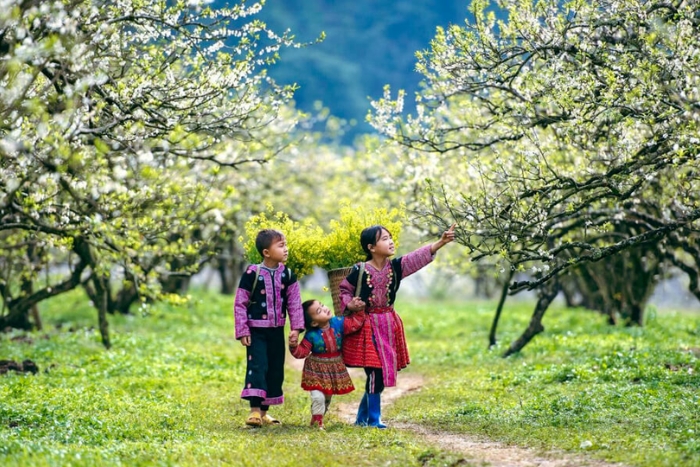 Visit Vietnam in dry season with interesting vacation ! 