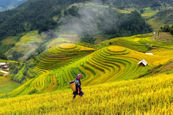 Interesting adventure in North Vietnam 