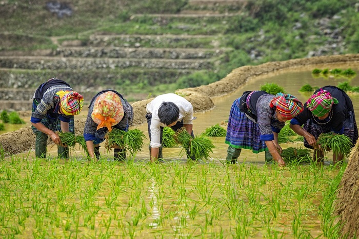 Where to visit in Vietnam for your solo women travel?