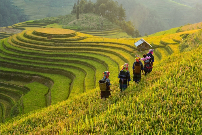 When should you visit Vietnam?