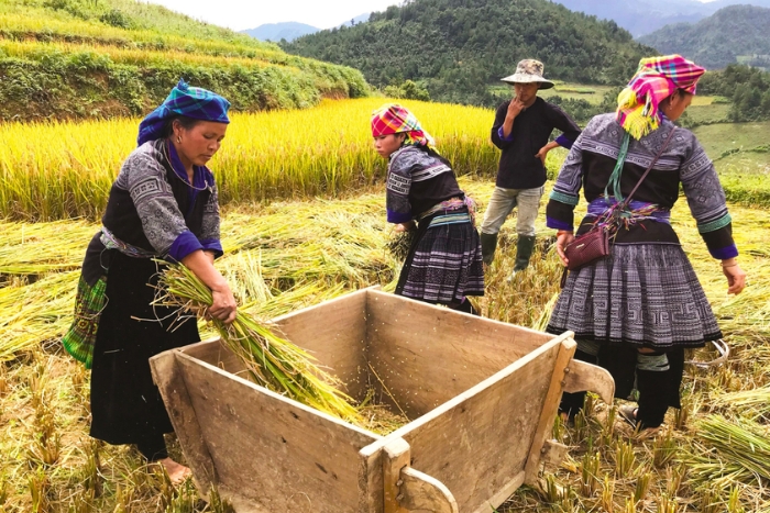 I. Why choose Vietnam for your solo female trip?