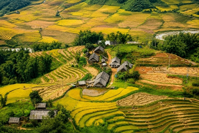 Hiking through the agricultural landscapes of Lao Chai Ta Van in Sapa
