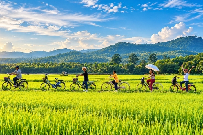 Cycling through the rice fields of Vietnam
