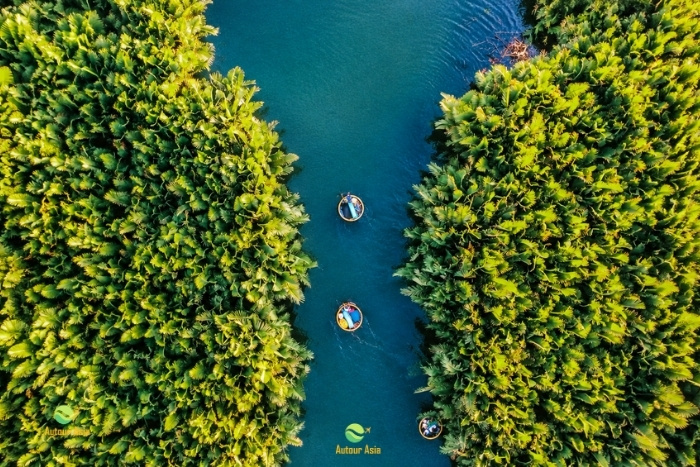 In the heart of Cam Thanh’s water coconut palms by basket boat