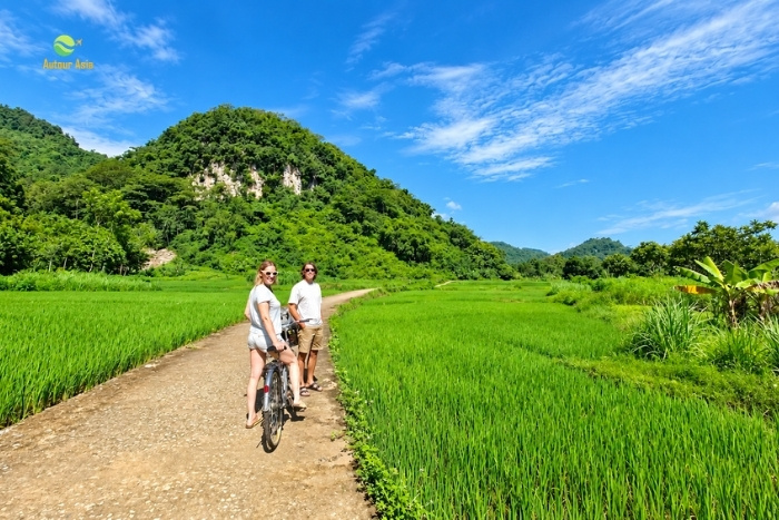 What to do in Vietnam in March ? Cycling through the lush rice fields of Mai Chau