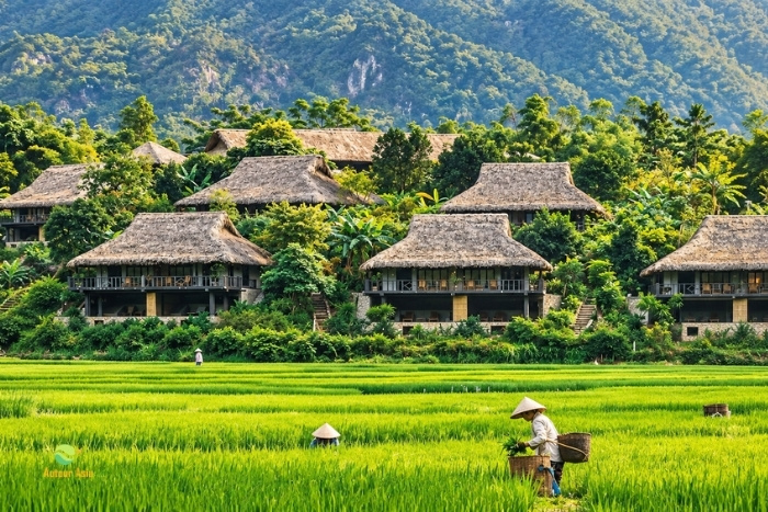 The lush landscapes of Mai Chau in March