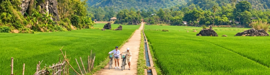 15 days in Vietnam in March