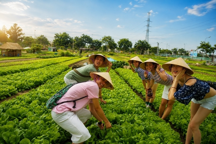 Meeting the farmers of Tra Que Village